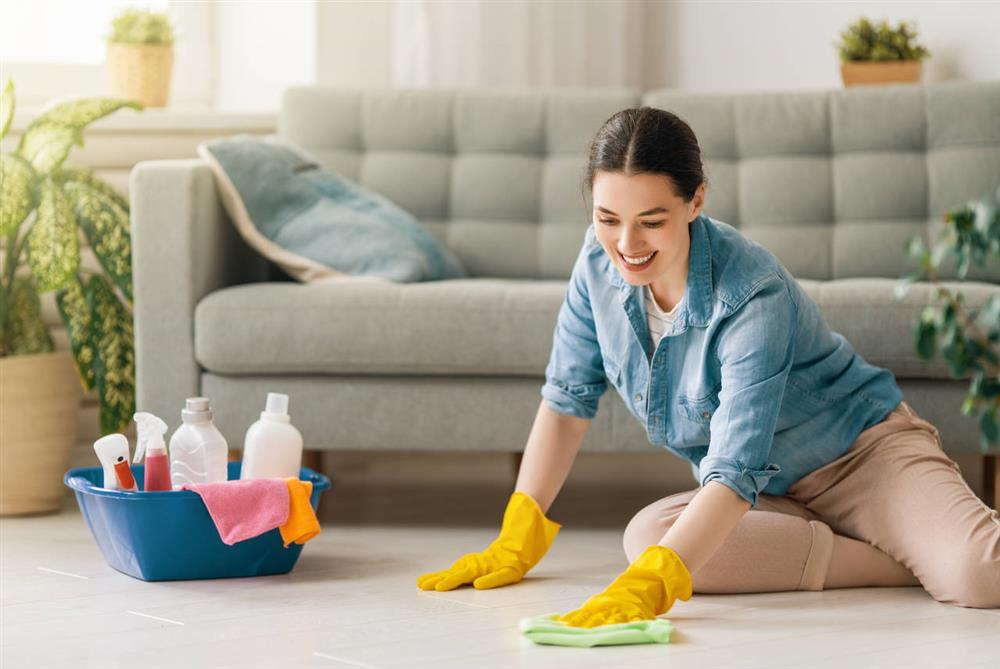 Swipesparkle.Us: Your Ultimate Cleaning Companion